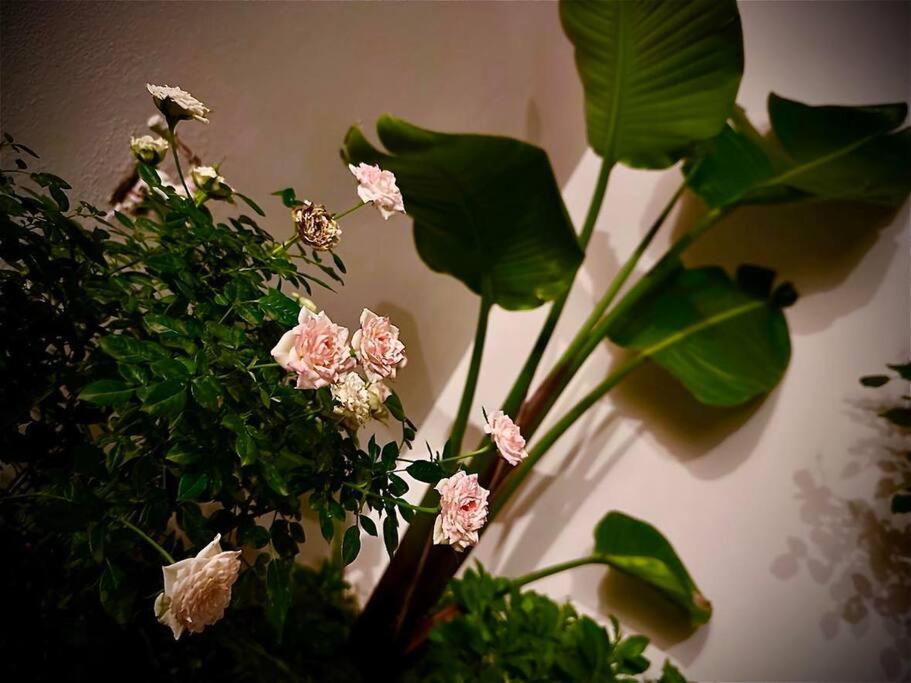 VI House Apartment Artemida  Luaran gambar
